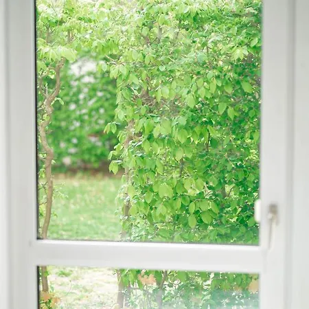 公寓 Sunnyhome Monteurwohnungen Und In